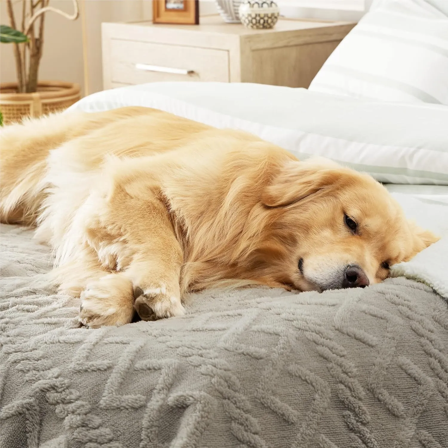 Bedsure Waterproof Dog Blankets for Bed - Pet Blanket for Bed Couch Protector Washable, Jacquard Coral Fleece Cat Throw Blanket, Soft Plush Reversible Furniture Protection, King, 86x108, Pale Oak