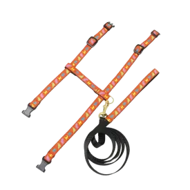 Cat Harness & Leash | Cats