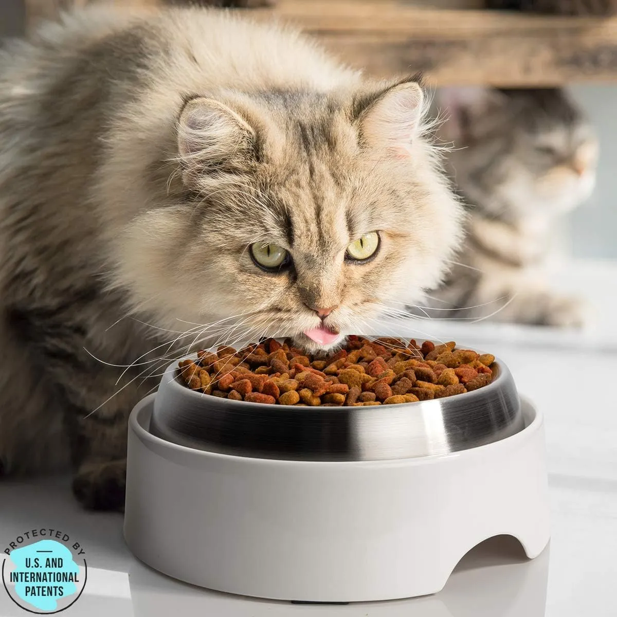 CatGuru Food Table for Cat Bowl, Non Slip Pet Feeding Station for Cat Food Bowls, Raised Stand for Food and Water Cats Bowls, Elevated Pet Feeder, Stress Free Pet Dish Stand (Marshnallow)