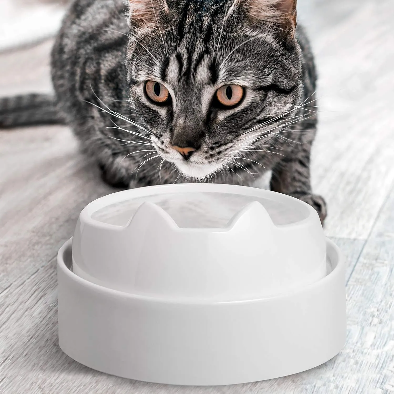 CatGuru Food Table for Cat Bowl, Non Slip Pet Feeding Station for Cat Food Bowls, Raised Stand for Food and Water Cats Bowls, Elevated Pet Feeder, Stress Free Pet Dish Stand (Marshnallow)