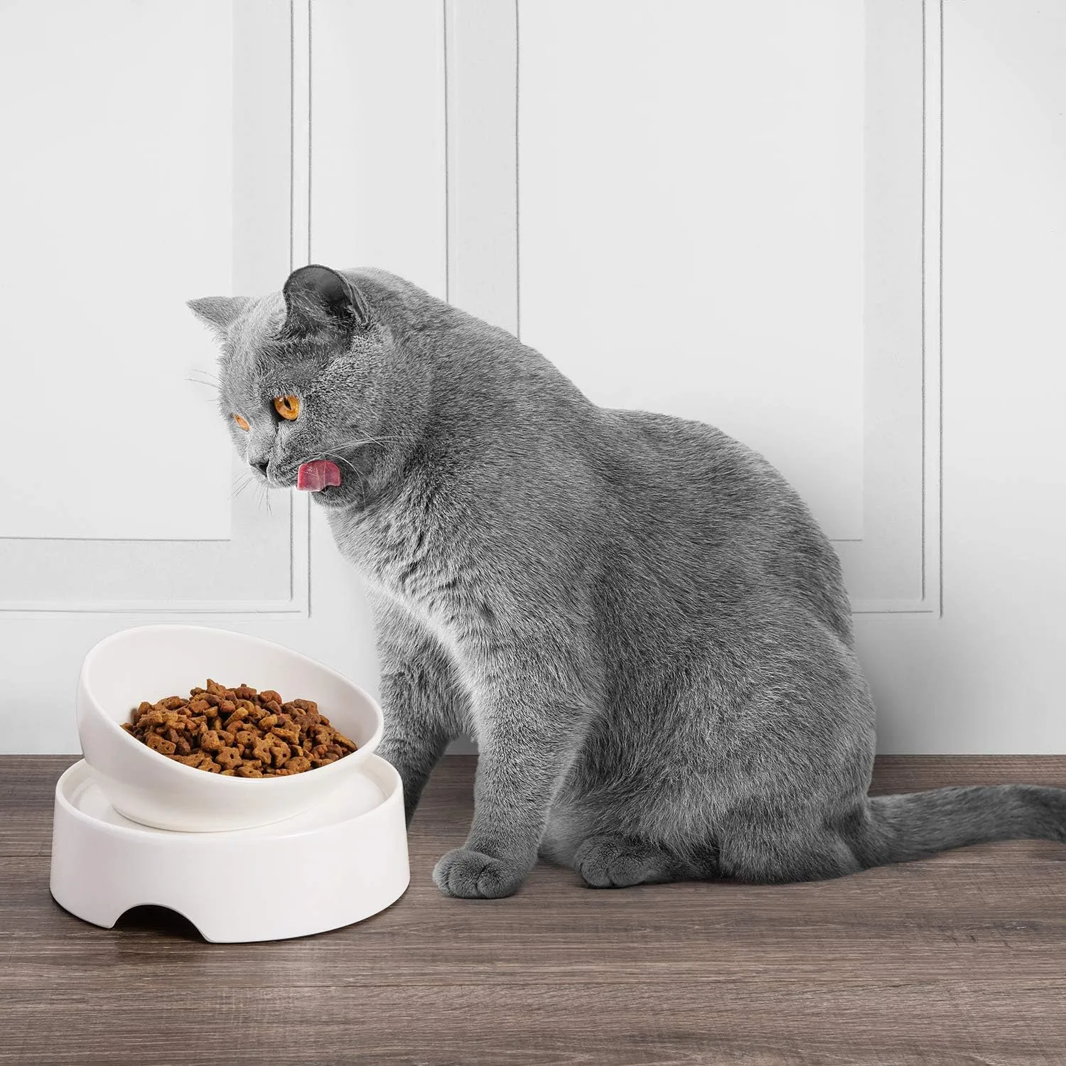 CatGuru Food Table for Cat Bowl, Non Slip Pet Feeding Station for Cat Food Bowls, Raised Stand for Food and Water Cats Bowls, Elevated Pet Feeder, Stress Free Pet Dish Stand (Marshnallow)