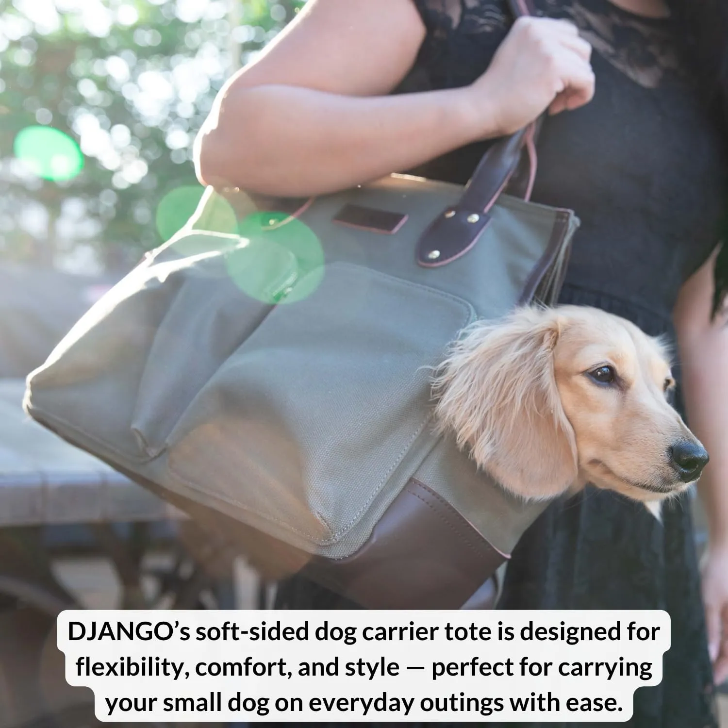 DJANGO Dog Carrier Bag Medium - Waxed Canvas and Leather Soft Dog Travel Carrier - Olive Green Travel Tote Bag for Pets with Harness Safety Tether, Secure Zipper Pockets, and Water-Resistant Lining