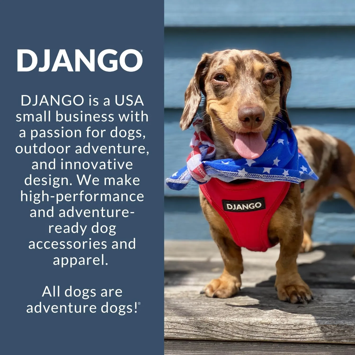 DJANGO Dog Carrier Bag Medium - Waxed Canvas and Leather Soft Dog Travel Carrier - Olive Green Travel Tote Bag for Pets with Harness Safety Tether, Secure Zipper Pockets, and Water-Resistant Lining