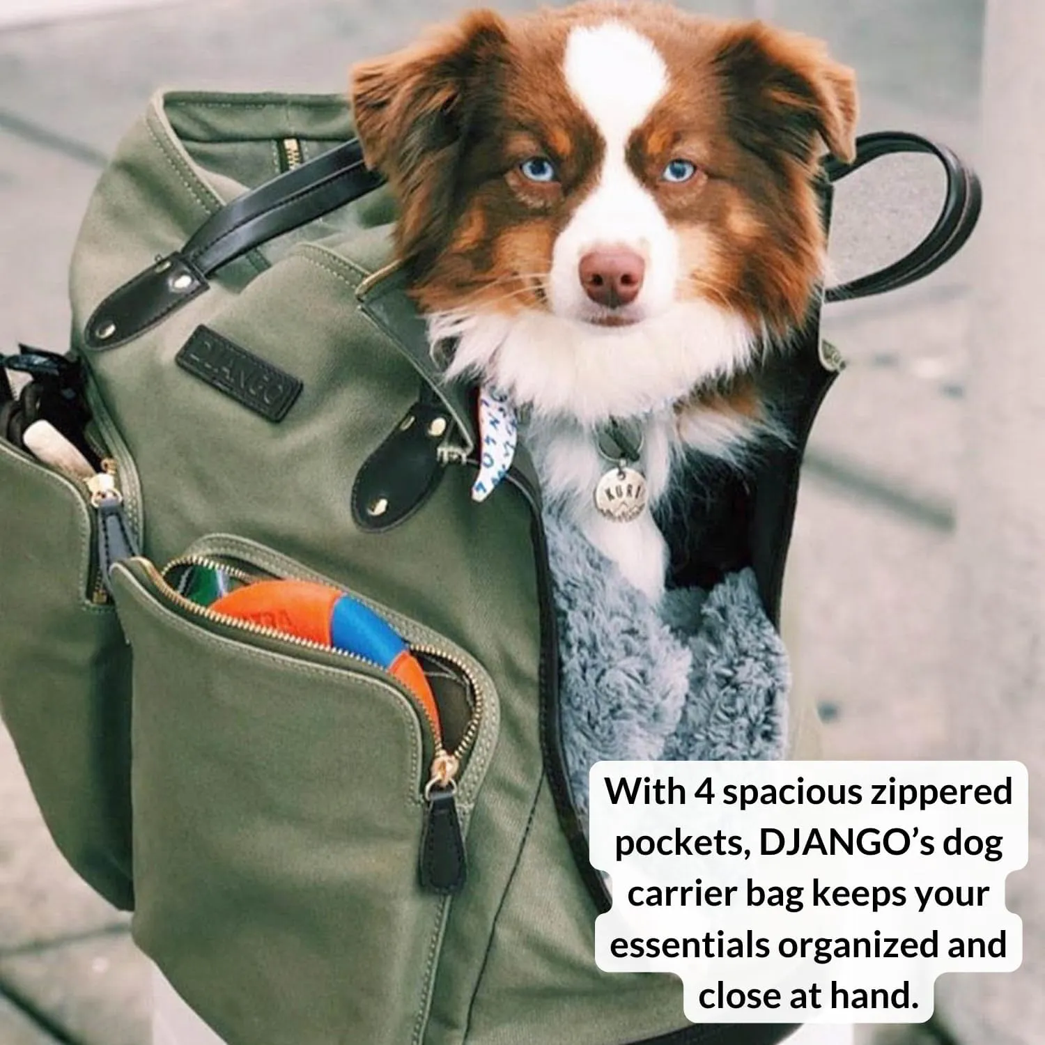 DJANGO Dog Carrier Bag Medium - Waxed Canvas and Leather Soft Dog Travel Carrier - Olive Green Travel Tote Bag for Pets with Harness Safety Tether, Secure Zipper Pockets, and Water-Resistant Lining