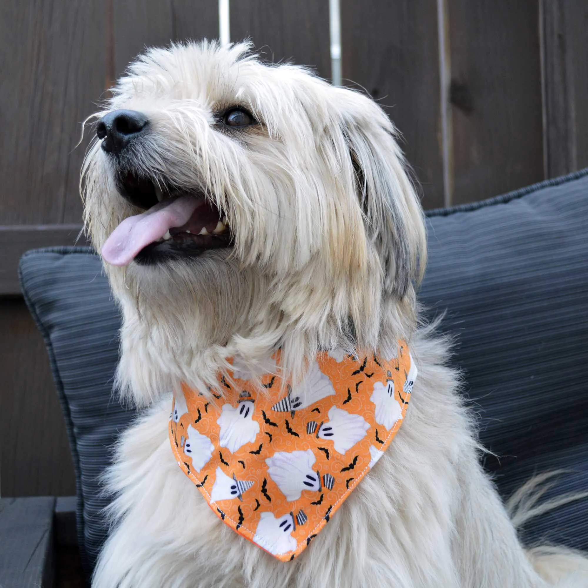Dog Bandana - Halloween Collection