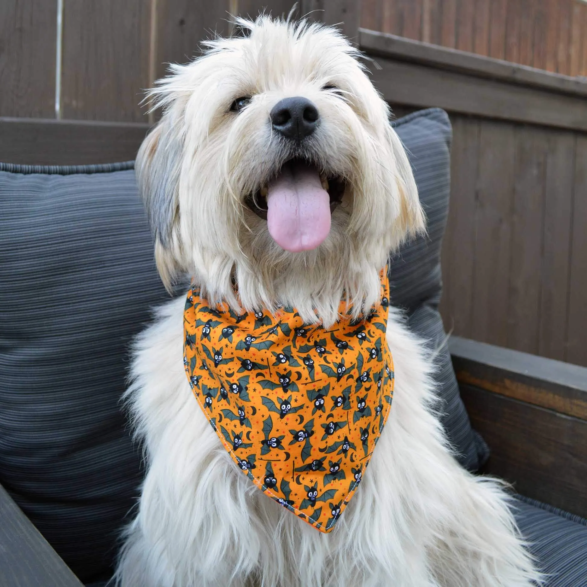 Dog Bandana - Halloween Collection