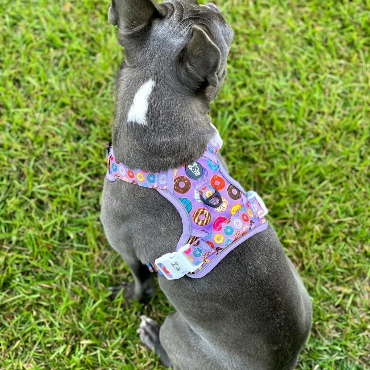 Donuts! No Pull Dog Harness