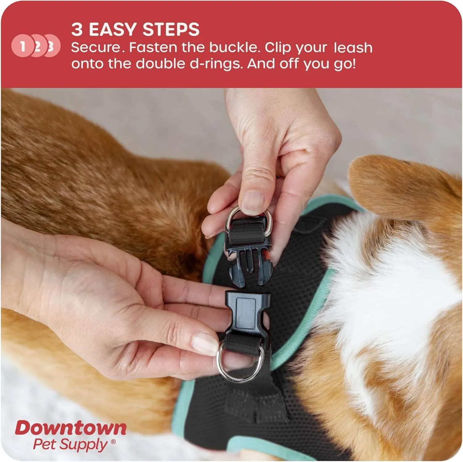 Downtown Pet Supply Step in Dog Harness No Pull, XX-Large, Black w/Light Blue Trim - Adjustable Harness with Padded Mesh Fabric and Reflective Trim - Buckle Strap Harness for Dogs