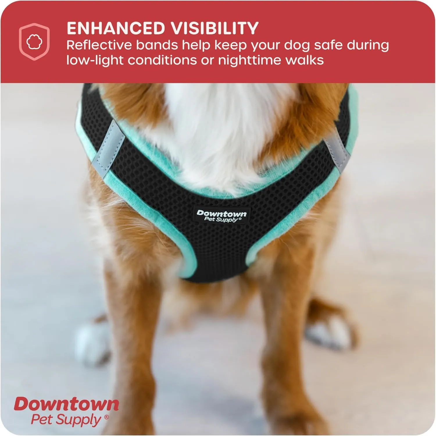 Downtown Pet Supply Step in Dog Harness No Pull, XX-Large, Black w/Light Blue Trim - Adjustable Harness with Padded Mesh Fabric and Reflective Trim - Buckle Strap Harness for Dogs