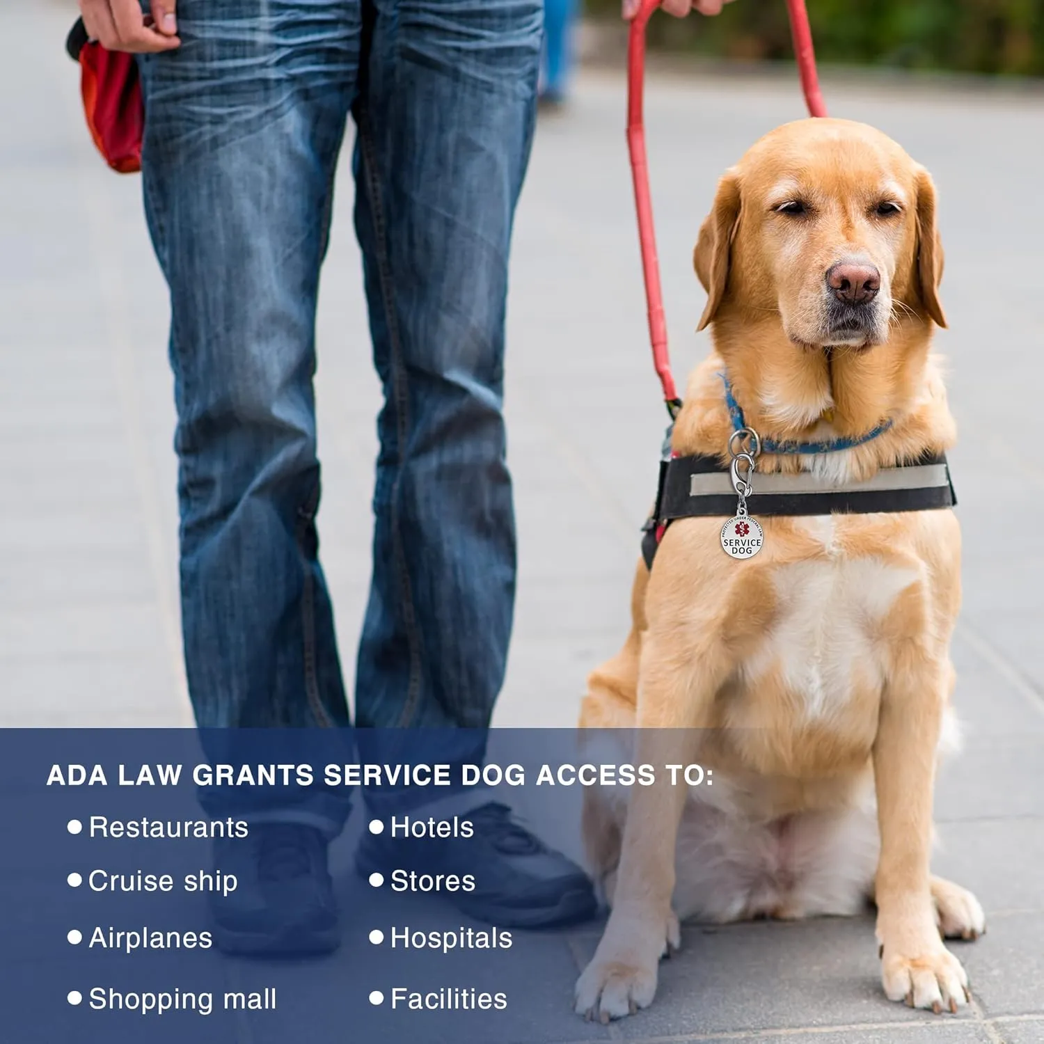 ESA/Service  ID  3.18  - 