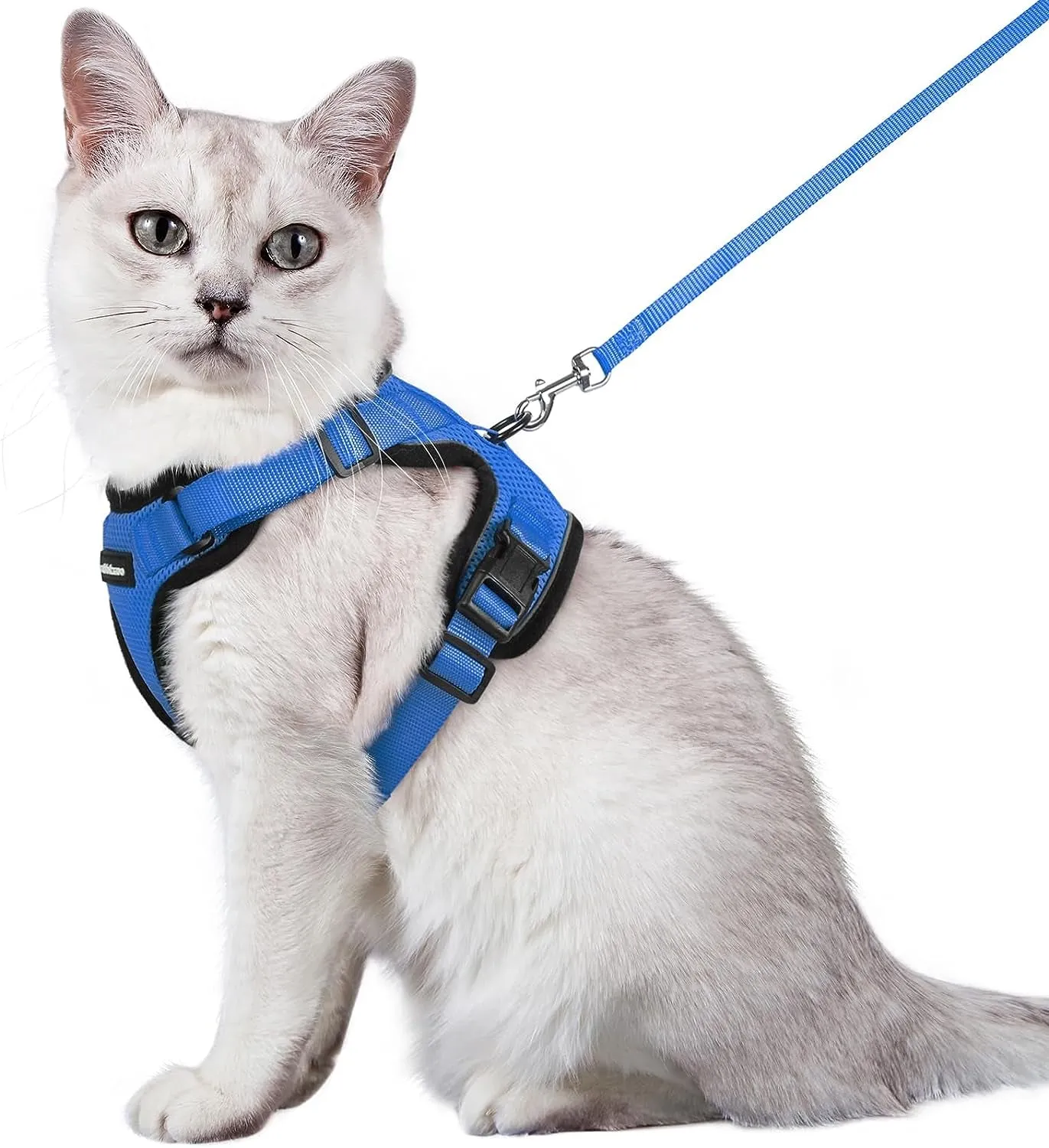 Escape-Proof Cat Harness & Leash