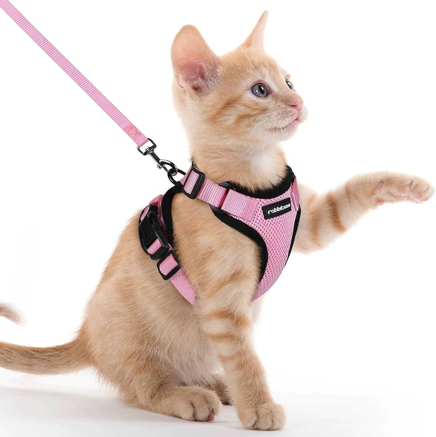 Escape-Proof Cat Harness & Leash