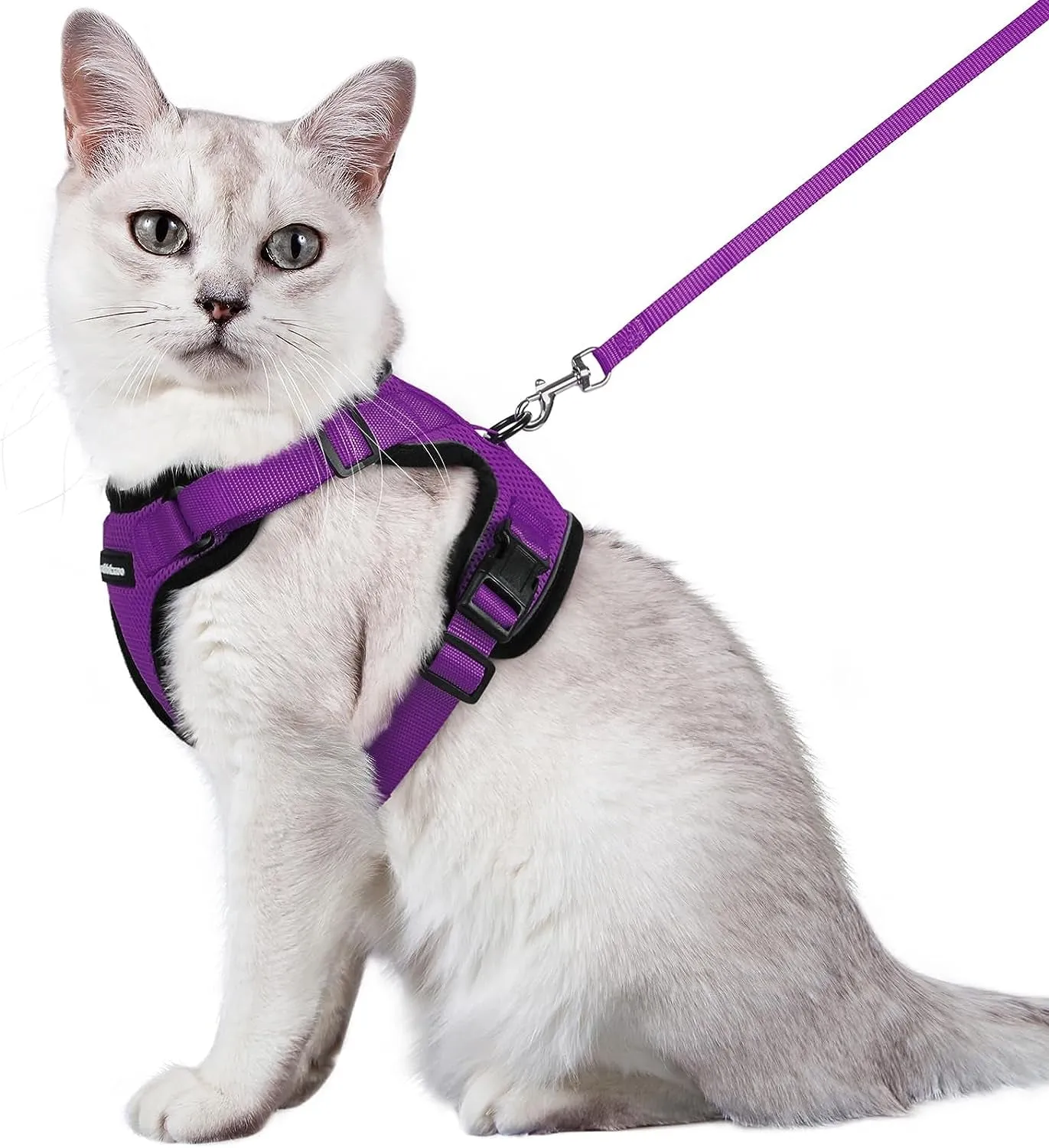 Escape-Proof Cat Harness & Leash
