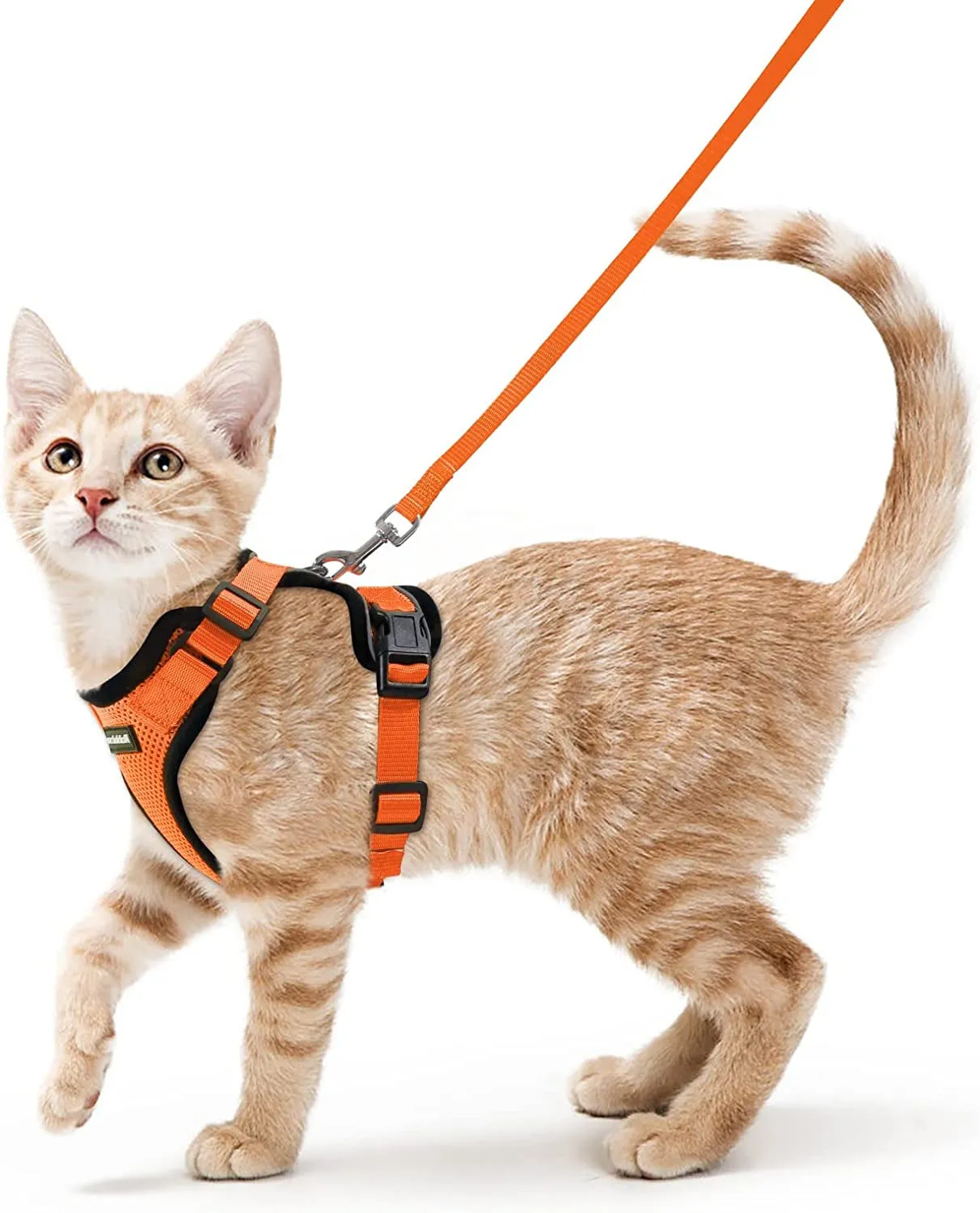 Escape-Proof Cat Harness & Leash