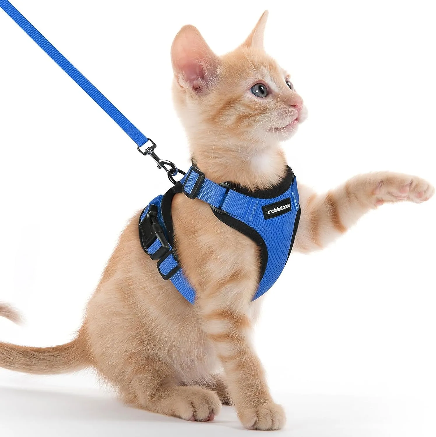 Escape-Proof Cat Harness & Leash