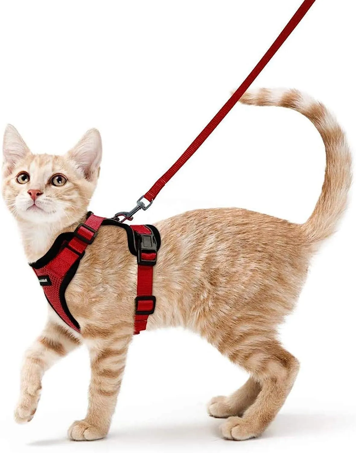 Escape-Proof Cat Harness & Leash