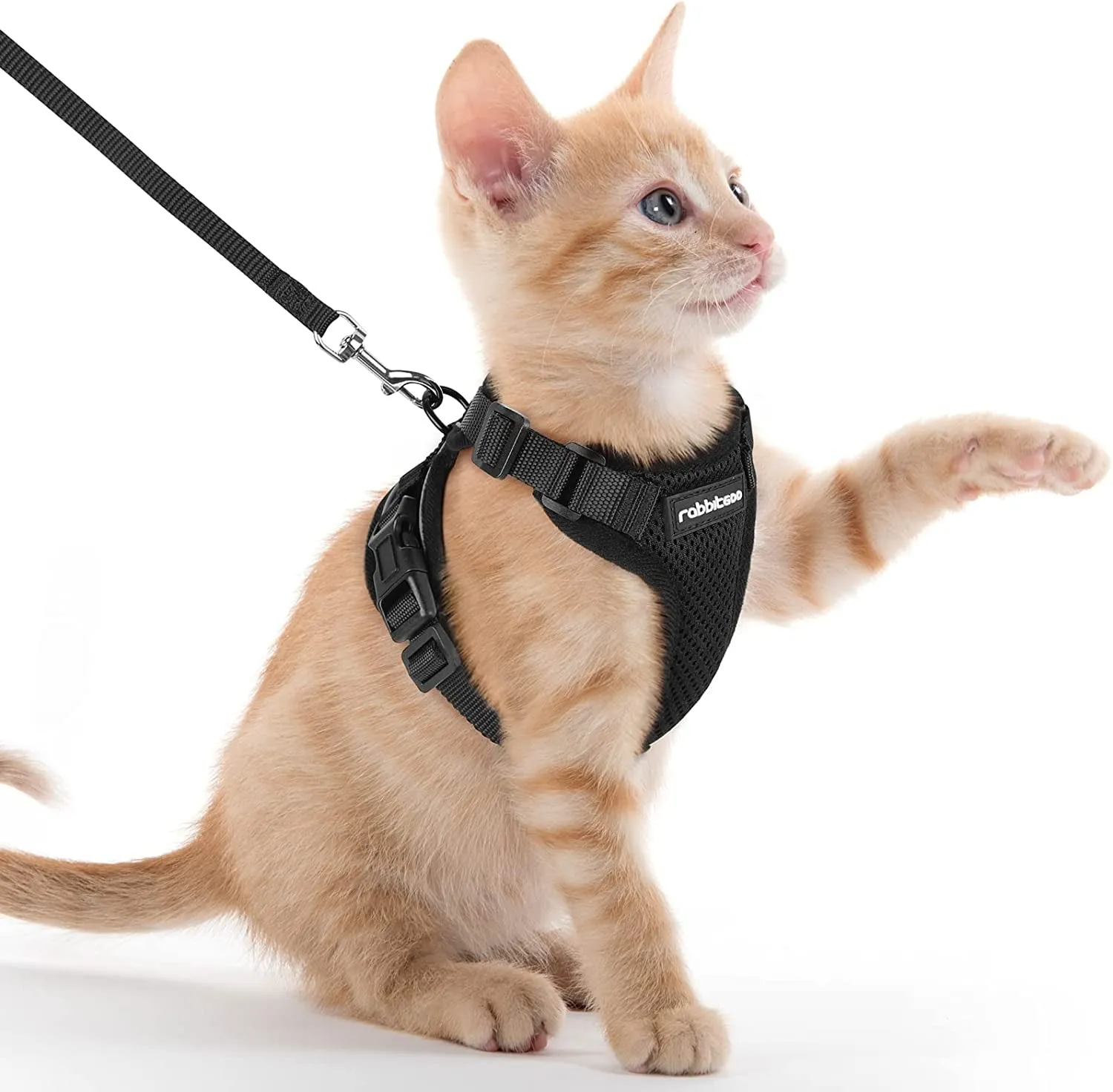 Escape-Proof Cat Harness & Leash