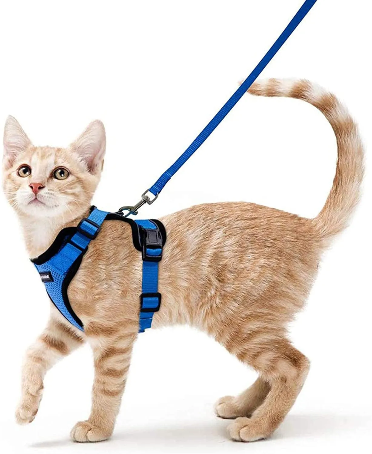 Escape-Proof Cat Harness & Leash