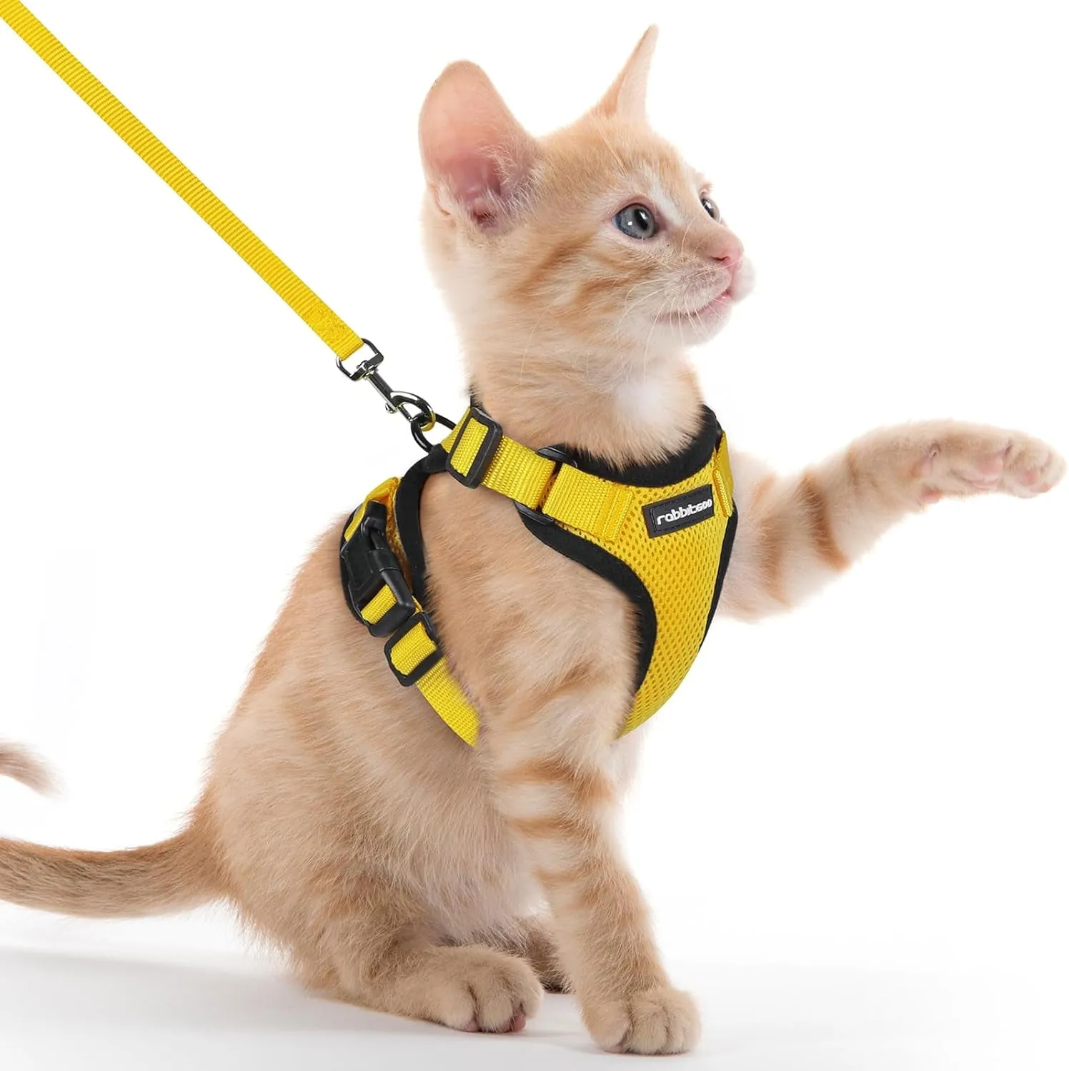 Escape-Proof Cat Harness & Leash
