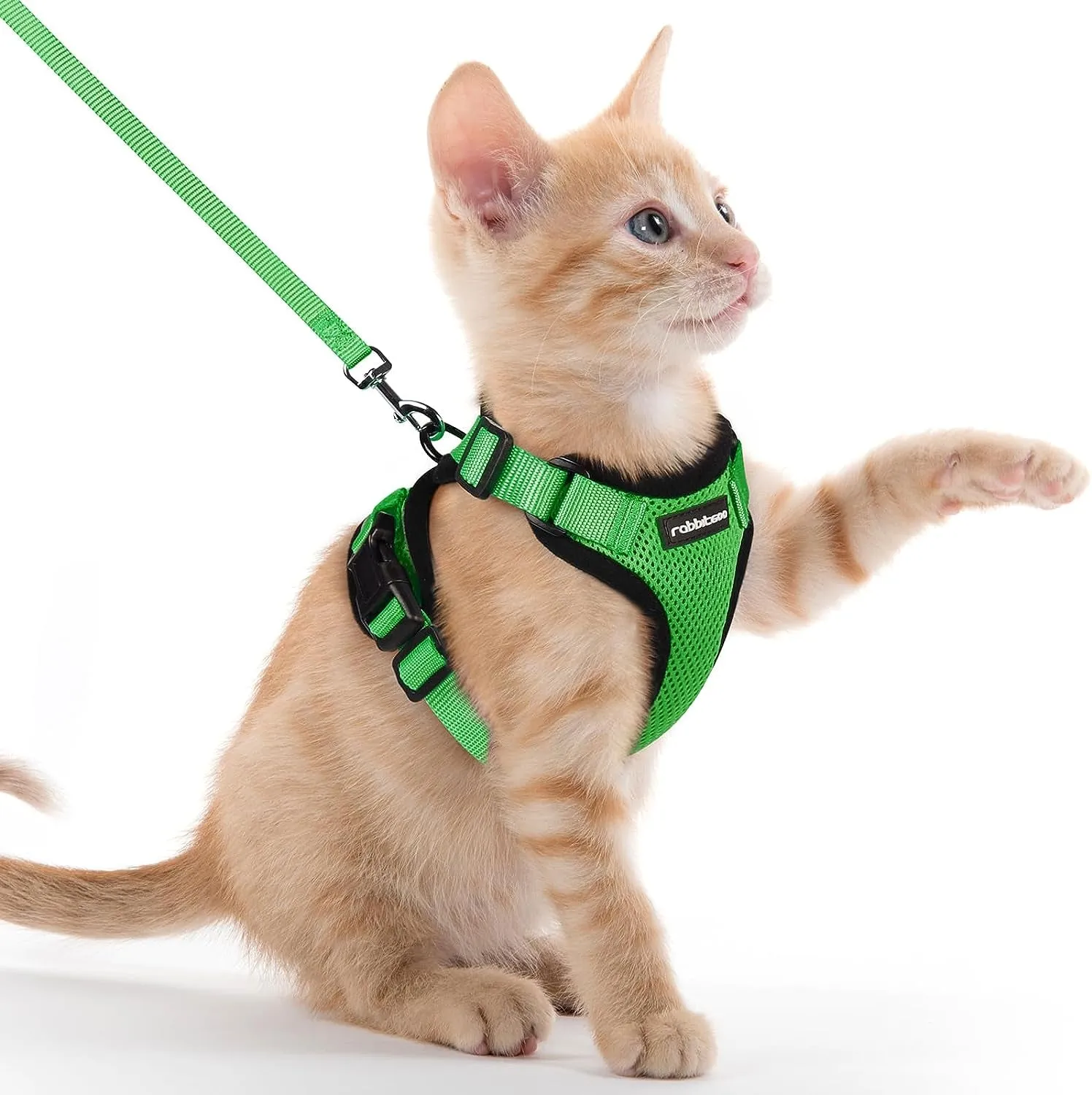 Escape-Proof Cat Harness & Leash