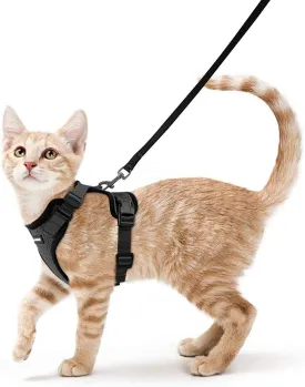 Escape-Proof Cat Harness & Leash