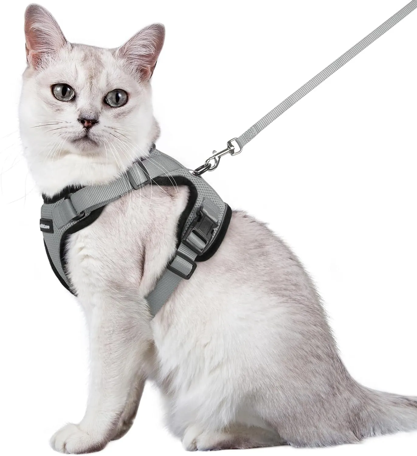 Escape-Proof Cat Harness & Leash
