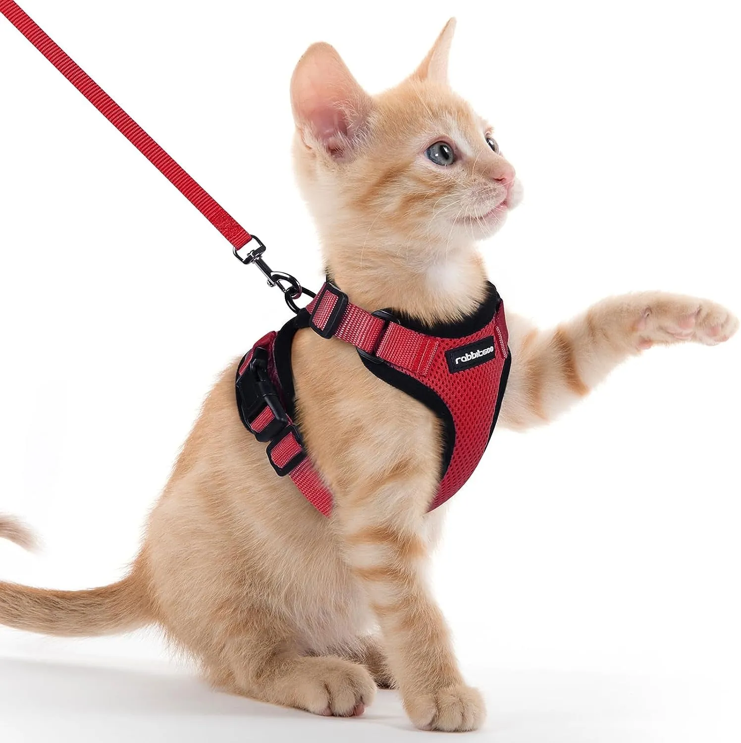 Escape-Proof Cat Harness & Leash