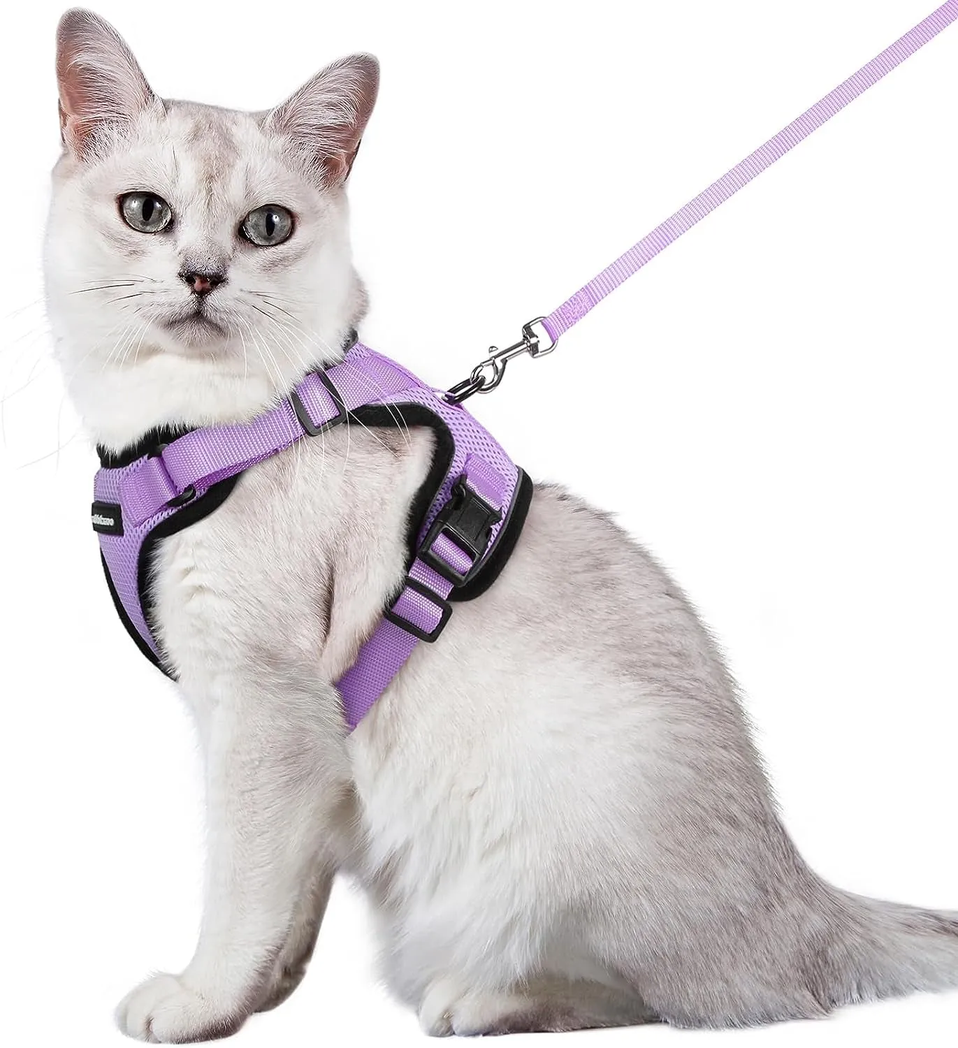 Escape-Proof Cat Harness & Leash
