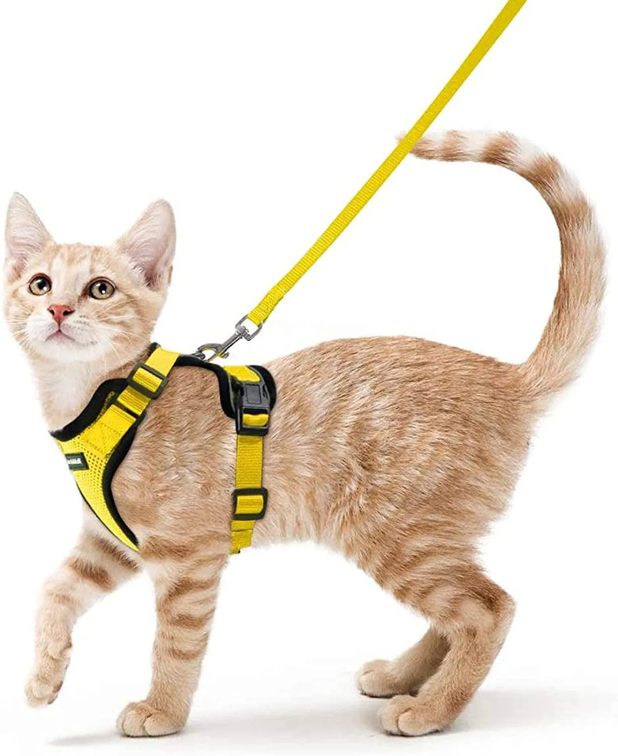 Escape-Proof Cat Harness & Leash
