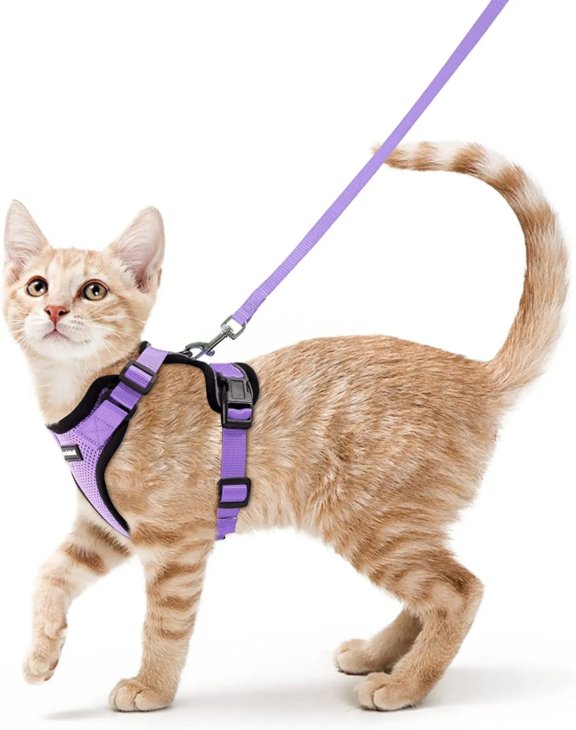 Escape-Proof Cat Harness & Leash