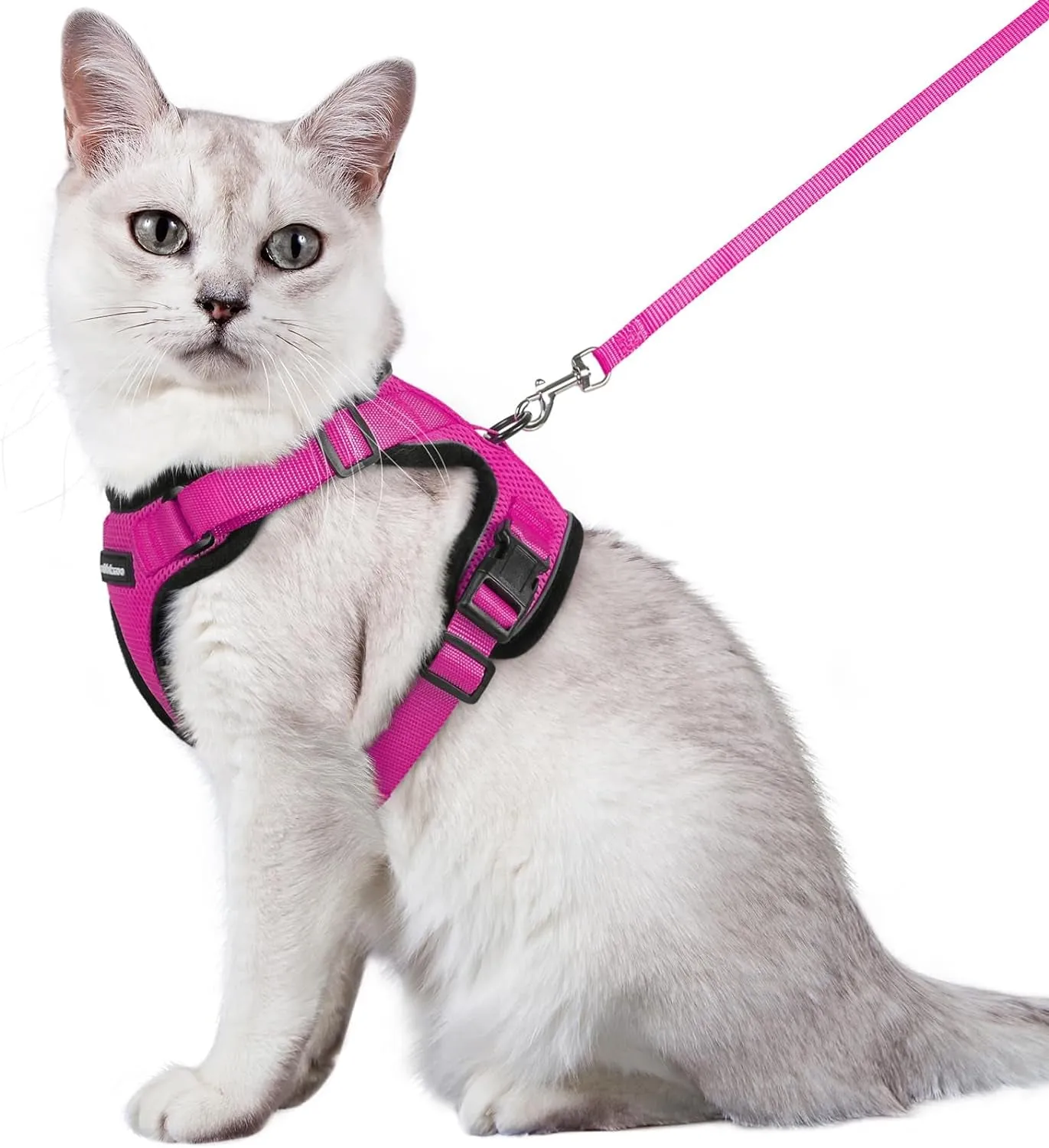 Escape-Proof Cat Harness & Leash