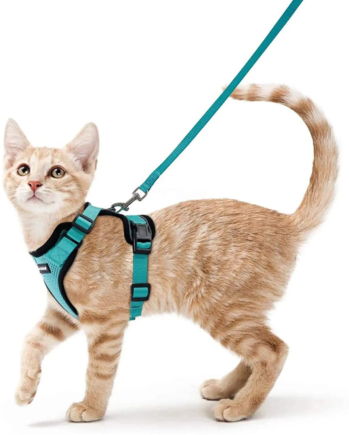 Escape-Proof Cat Harness & Leash