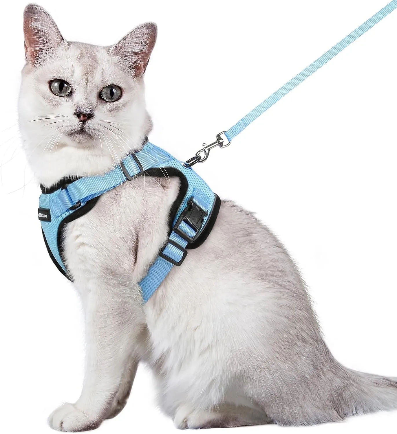 Escape-Proof Cat Harness & Leash