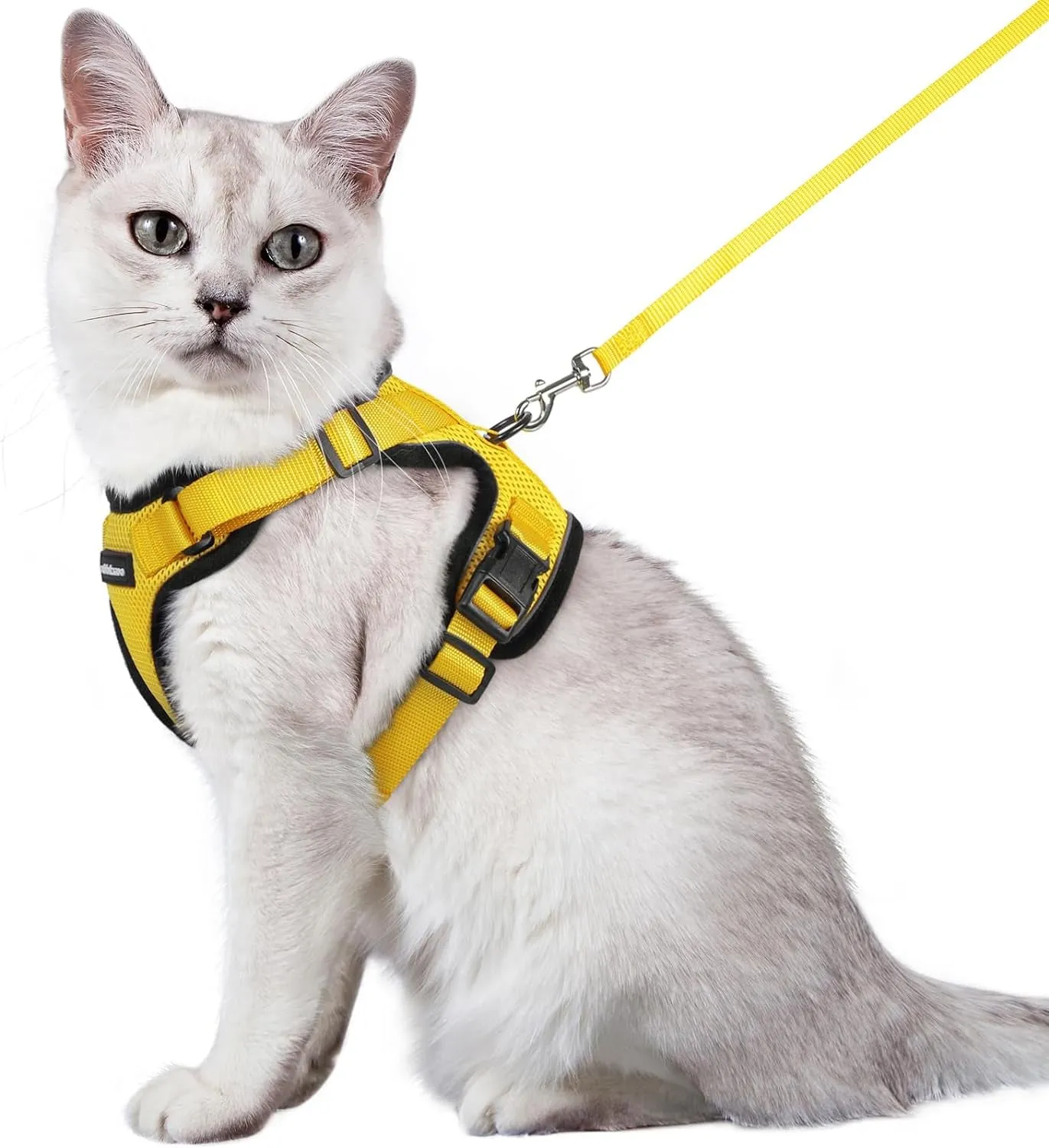 Escape-Proof Cat Harness & Leash