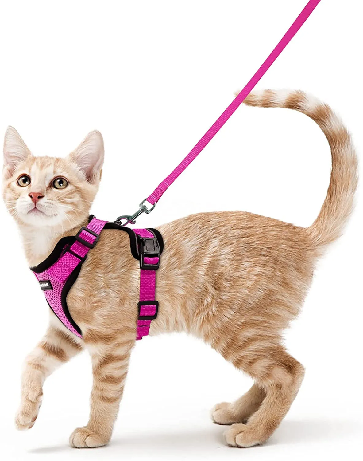Escape-Proof Cat Harness & Leash