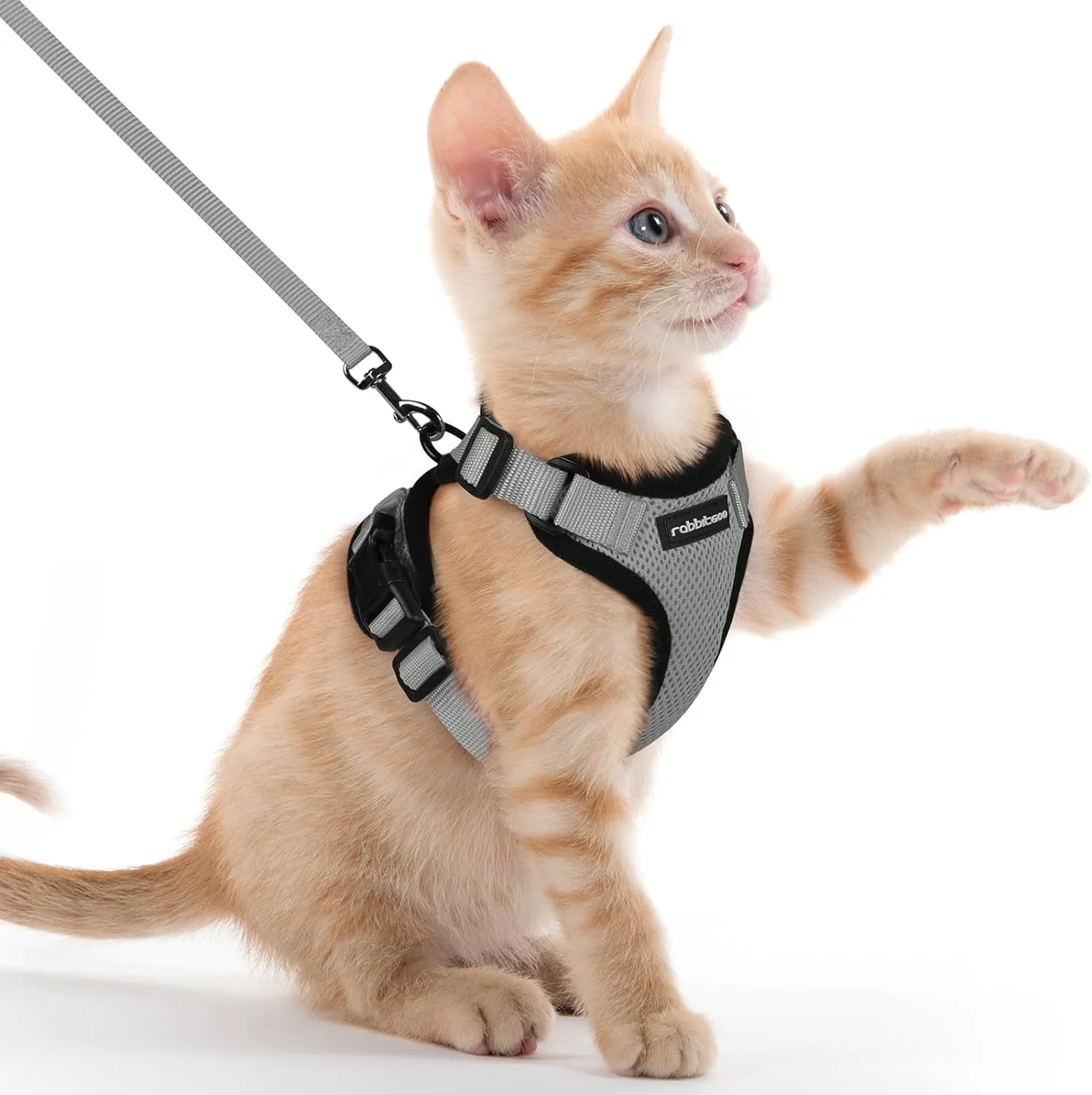 Escape-Proof Cat Harness & Leash