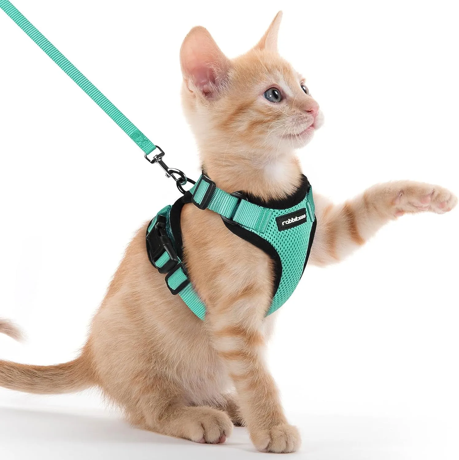 Escape-Proof Cat Harness & Leash