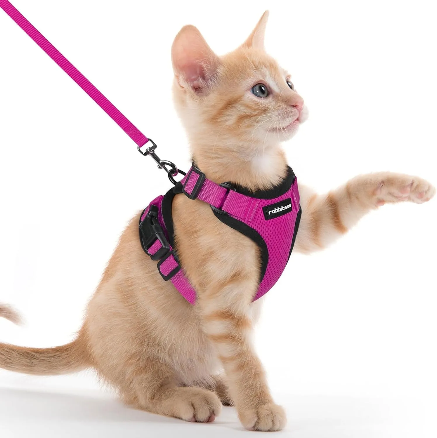 Escape-Proof Cat Harness & Leash