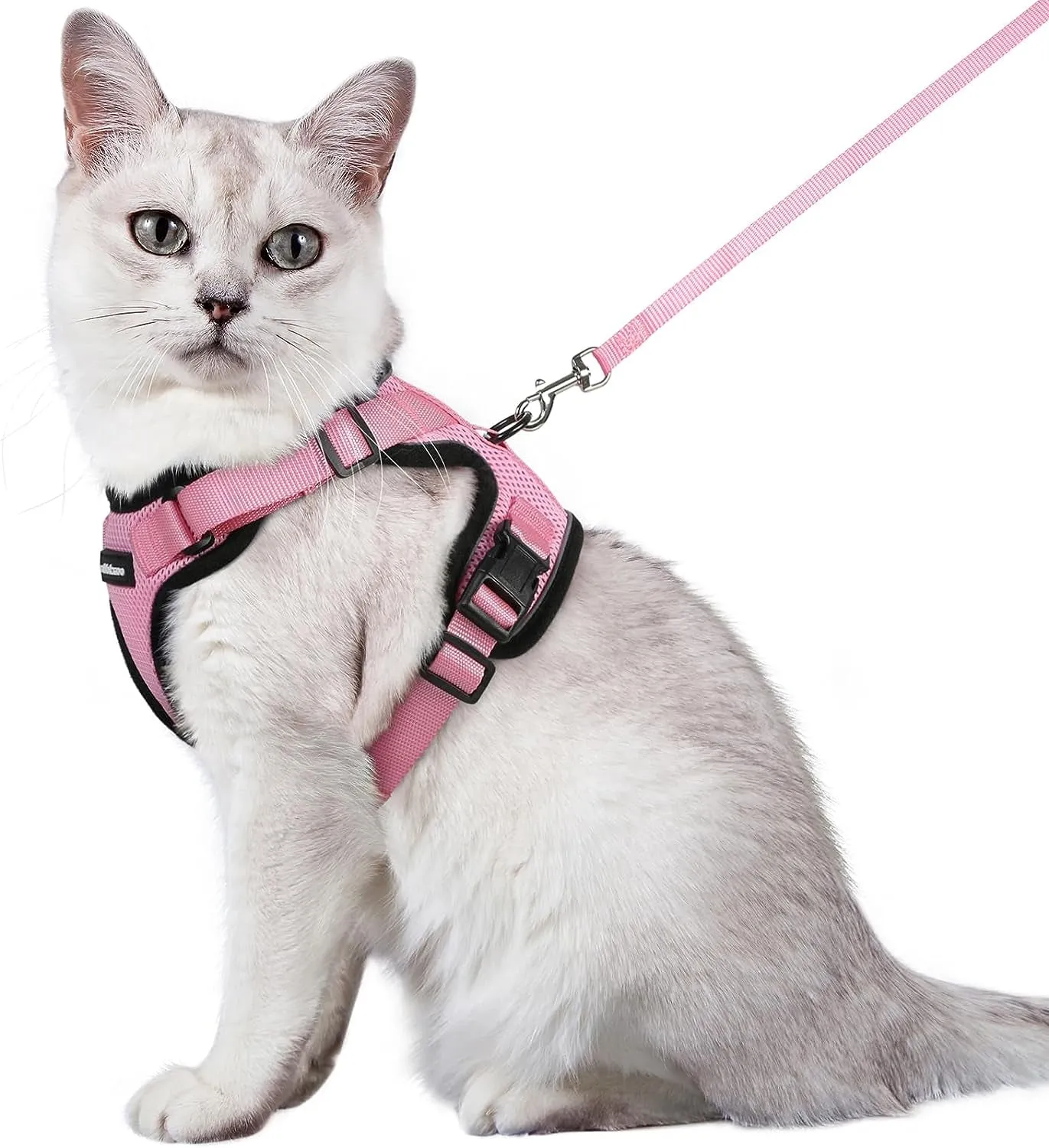 Escape-Proof Cat Harness & Leash