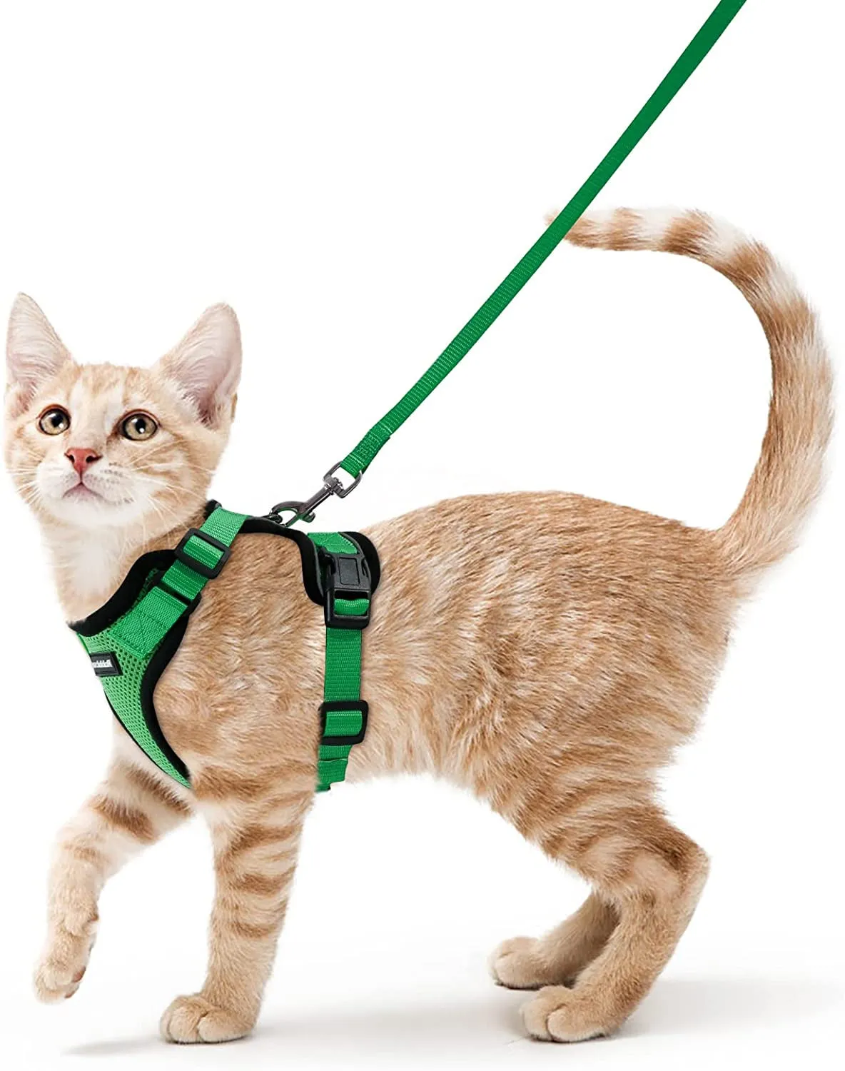 Escape-Proof Cat Harness & Leash