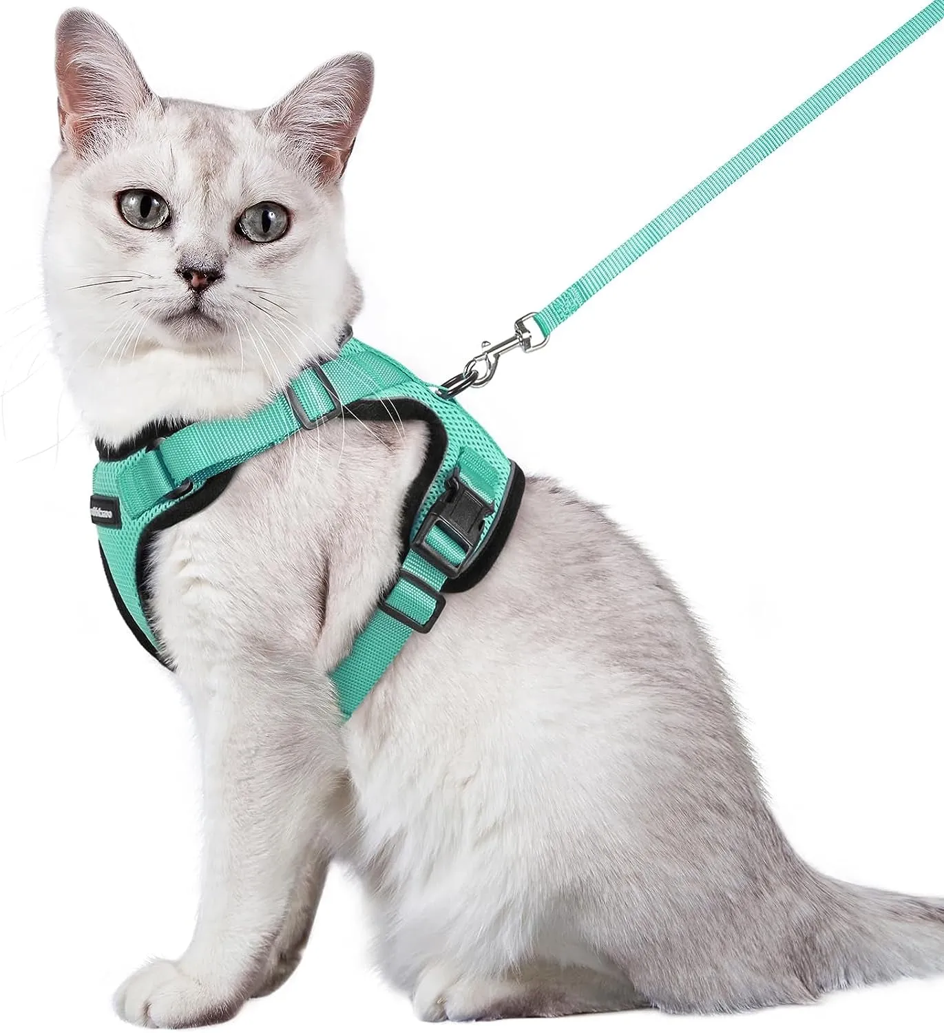 Escape-Proof Cat Harness & Leash