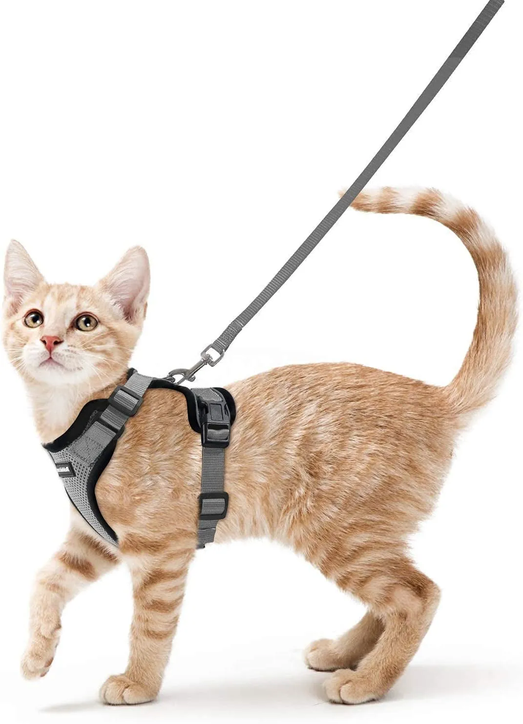 Escape-Proof Cat Harness & Leash