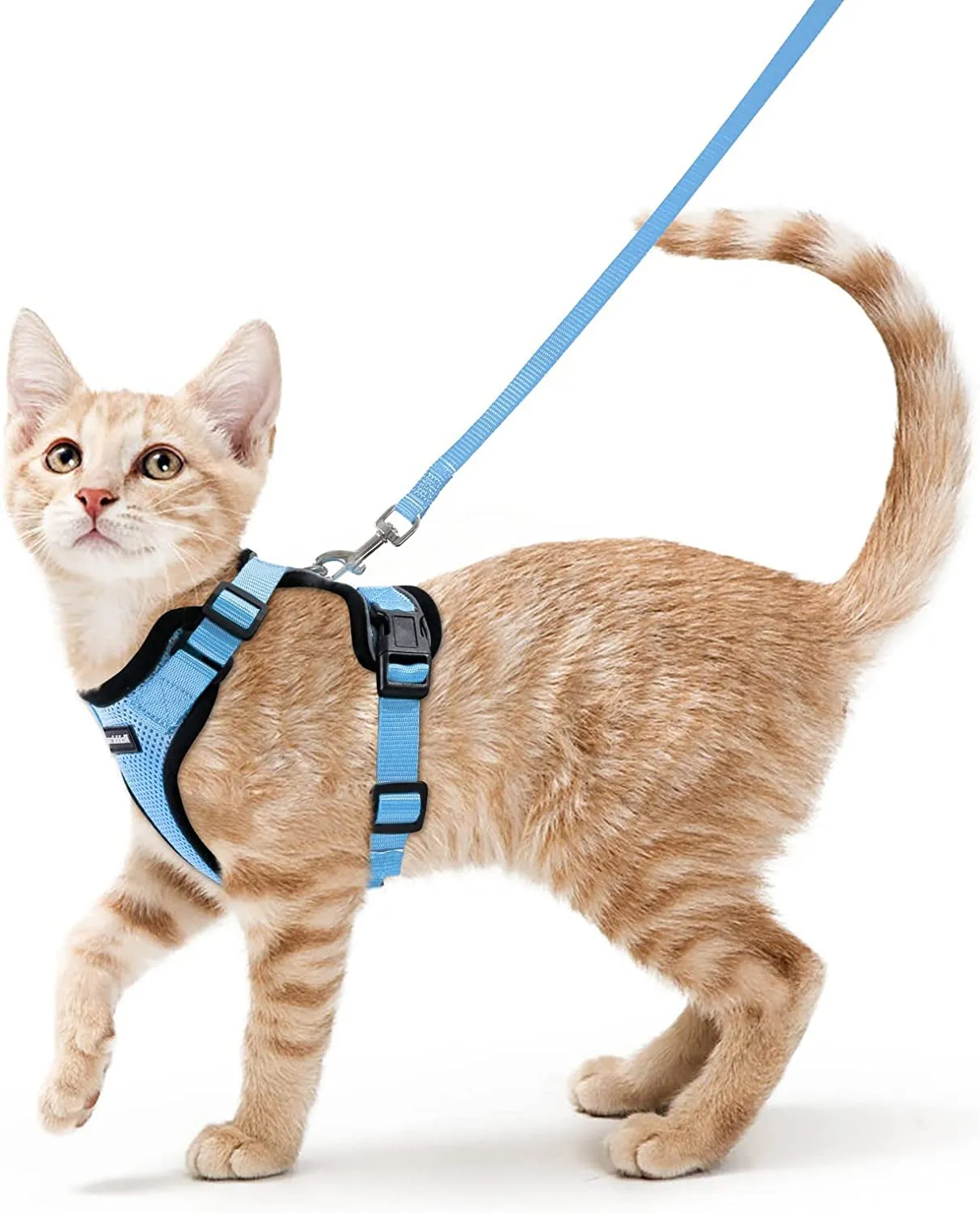 Escape-Proof Cat Harness & Leash