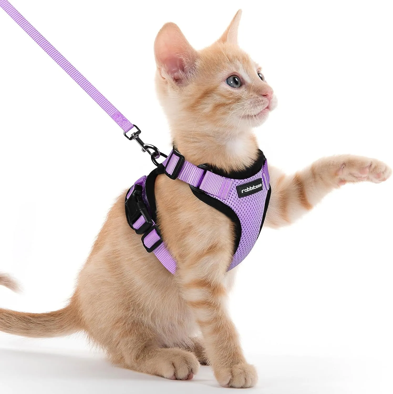 Escape-Proof Cat Harness & Leash