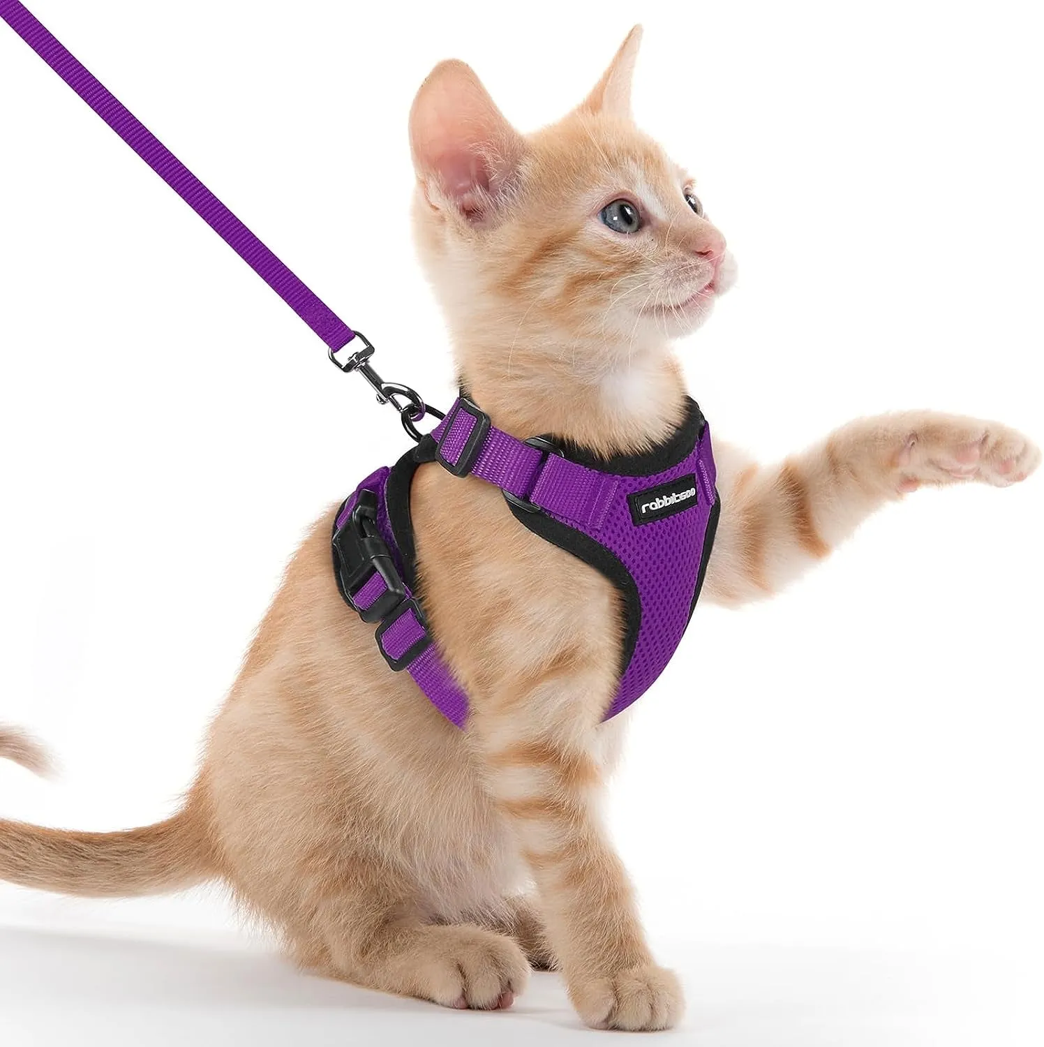 Escape-Proof Cat Harness & Leash
