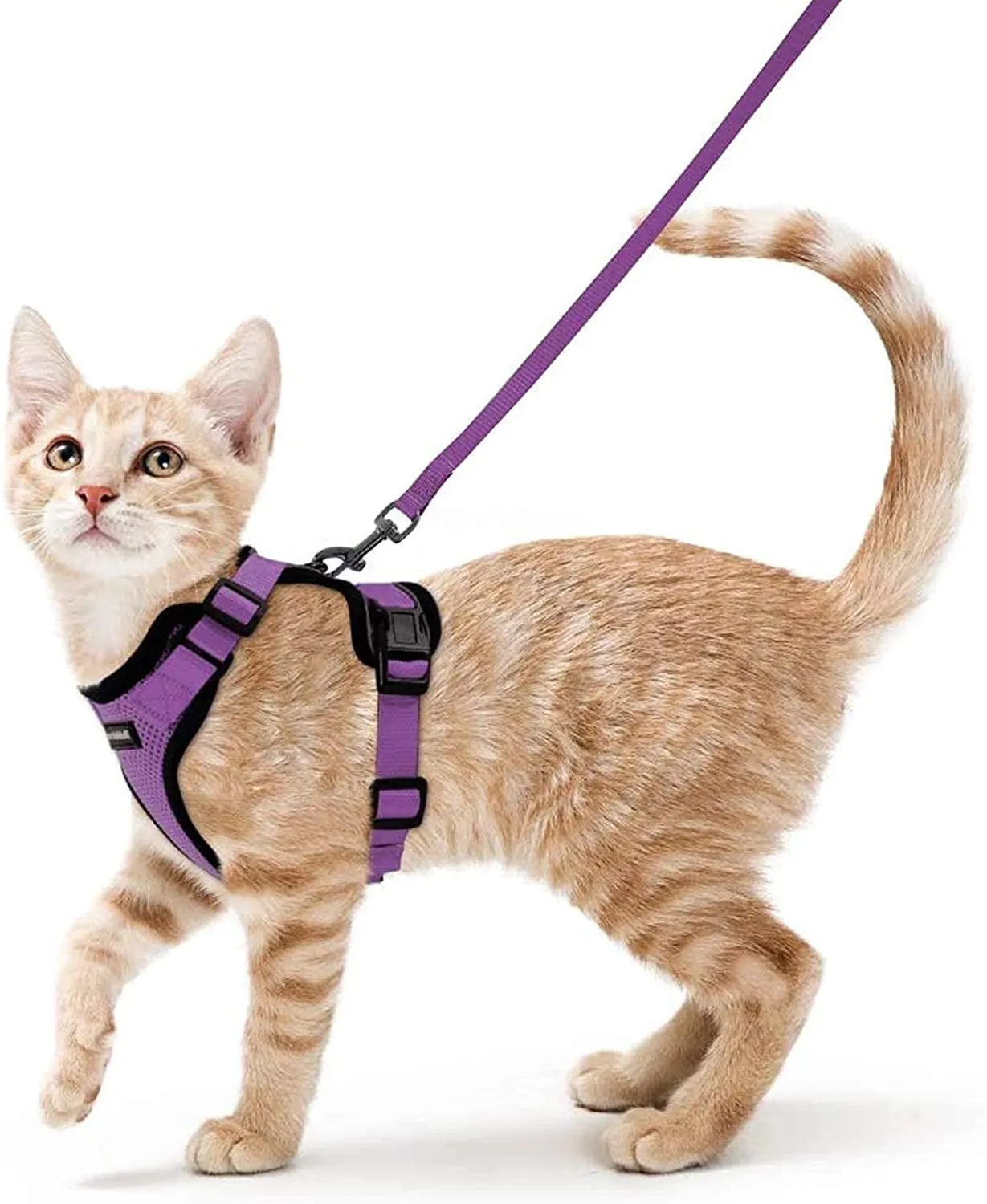 Escape-Proof Cat Harness & Leash