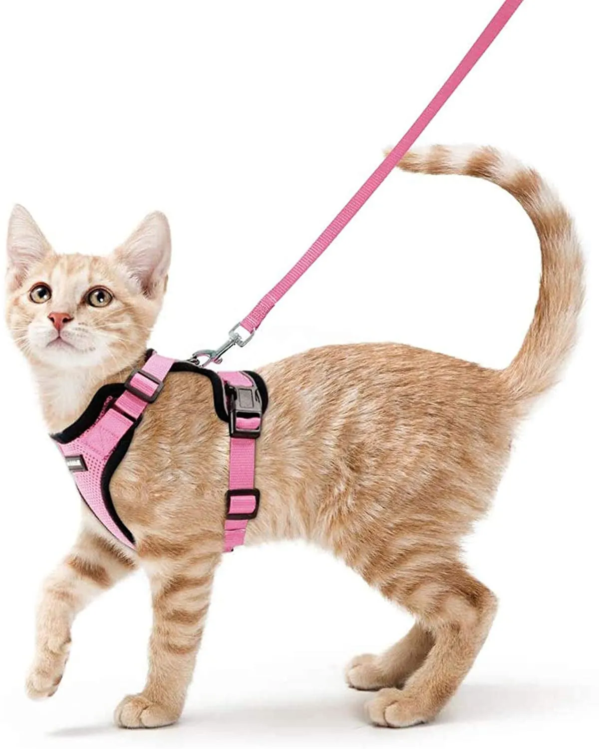 Escape-Proof Cat Harness & Leash