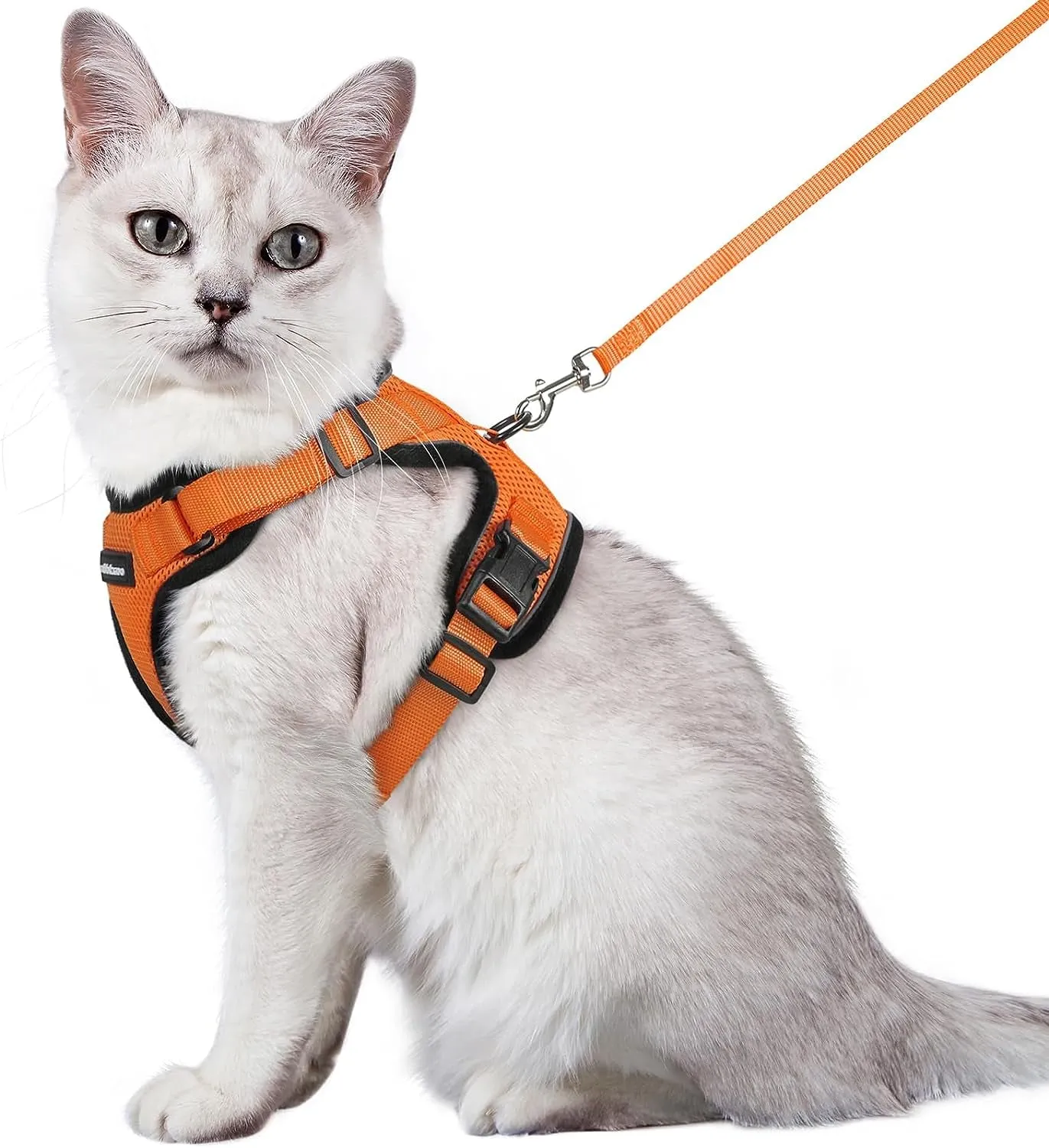 Escape-Proof Cat Harness & Leash