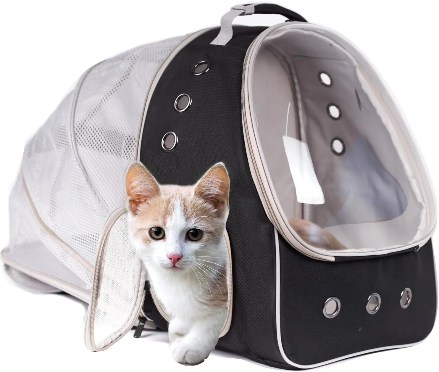 Expandable Pet Carrier for Cats and Small Dogs,Ventilated Carrier Backpacks Bag with Comfortable Shoulder Straps, Airline Approved Pet Carriers for Small Dogs Kitten Puppy (Black, Back Extension)
