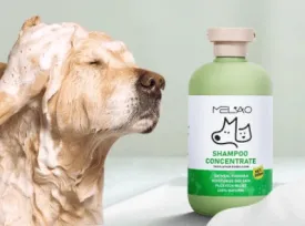 Fangshion pet shampoo